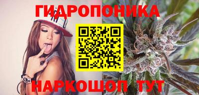 стафф Кулебаки