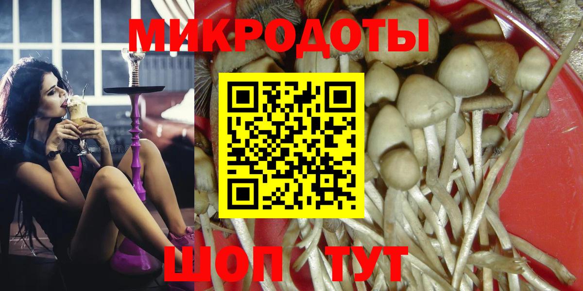 Галлюциногенные грибы Cubensis Сыктывкар